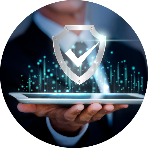 Secure & Validate